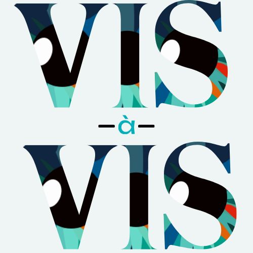 Instituto Vis a Vis Transformando olhares